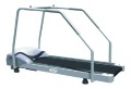 BTL_treadmill RAM_netmed.jpg